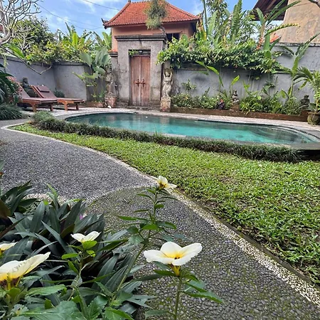 Alam Grigis Ubud