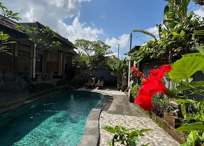 Alam Grigis Pensión Ubud