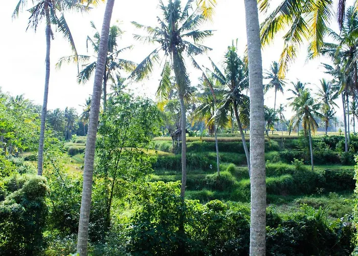 Alam Grigis Ubud